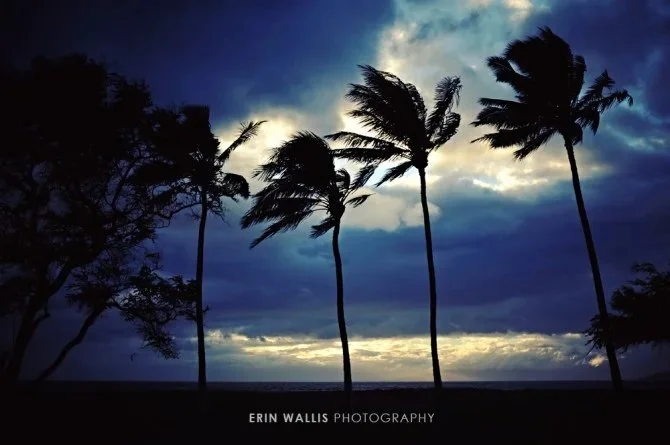 Maui