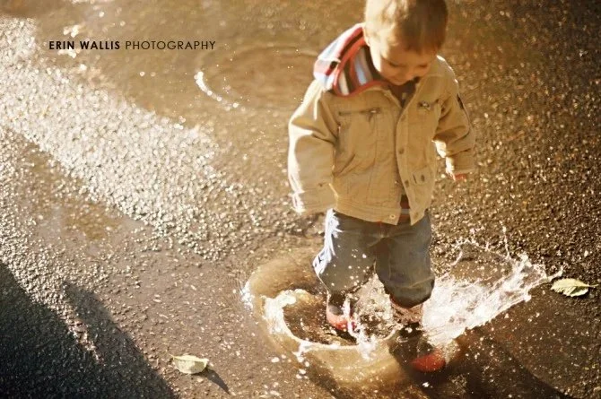 puddles