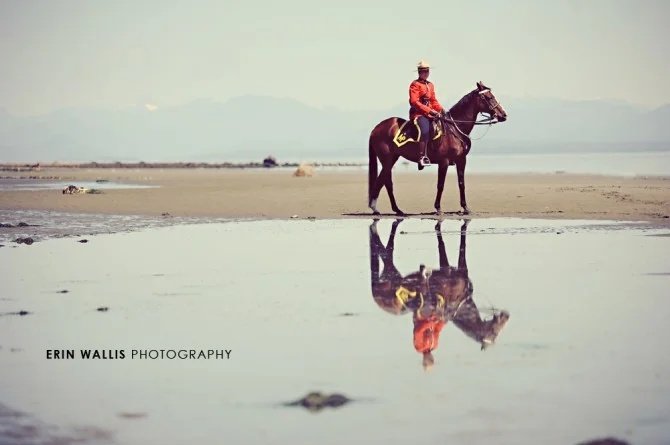 reflections
