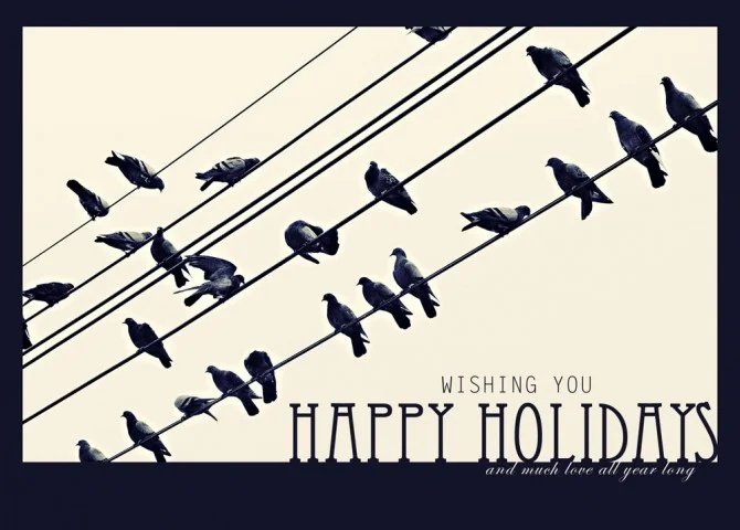 BIRDS BIRDS