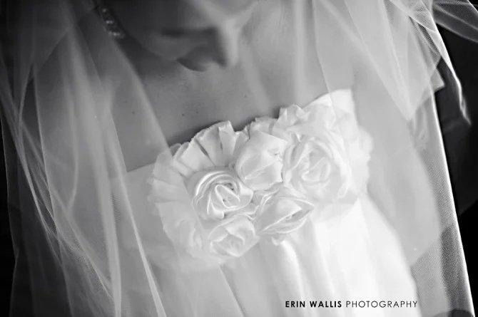 veil