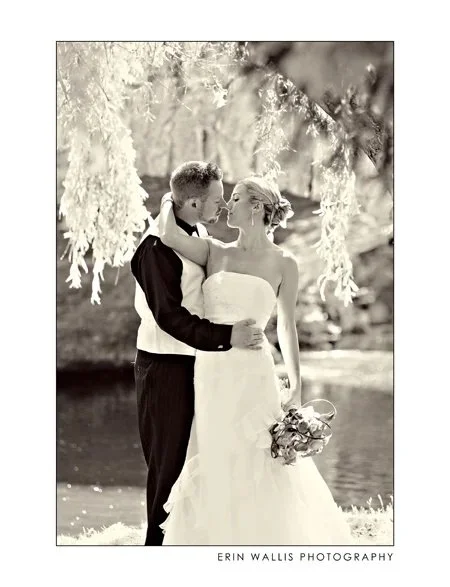 Under the Willow Tree