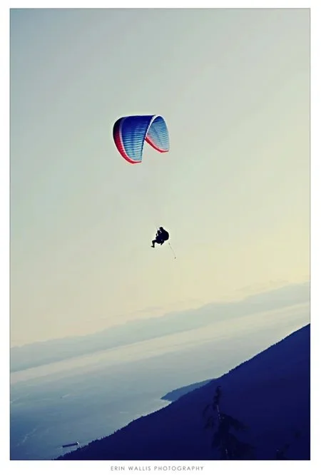 free free