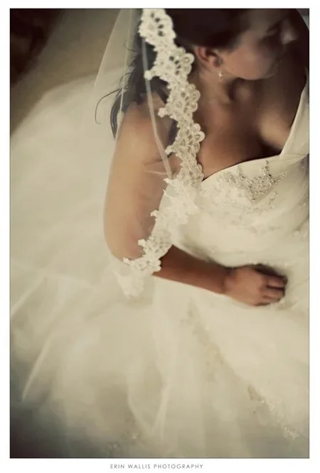 amazing veil amazing veil