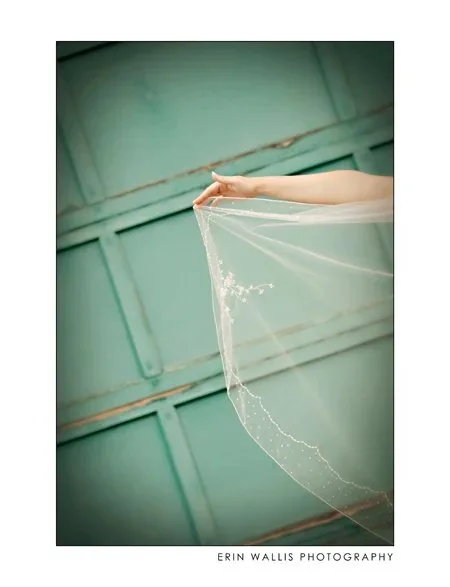Alanas Veil