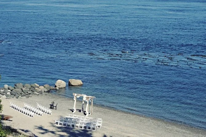 dolphins resort beach