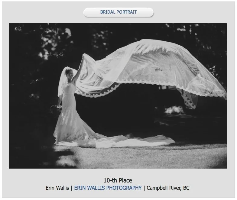 bridal wedding photo