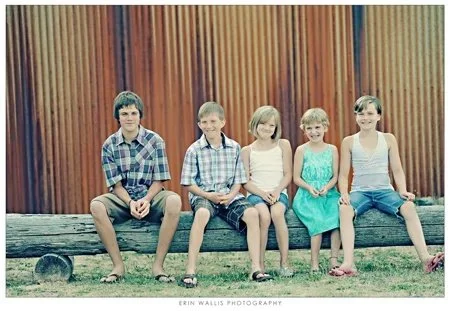 wild bunch