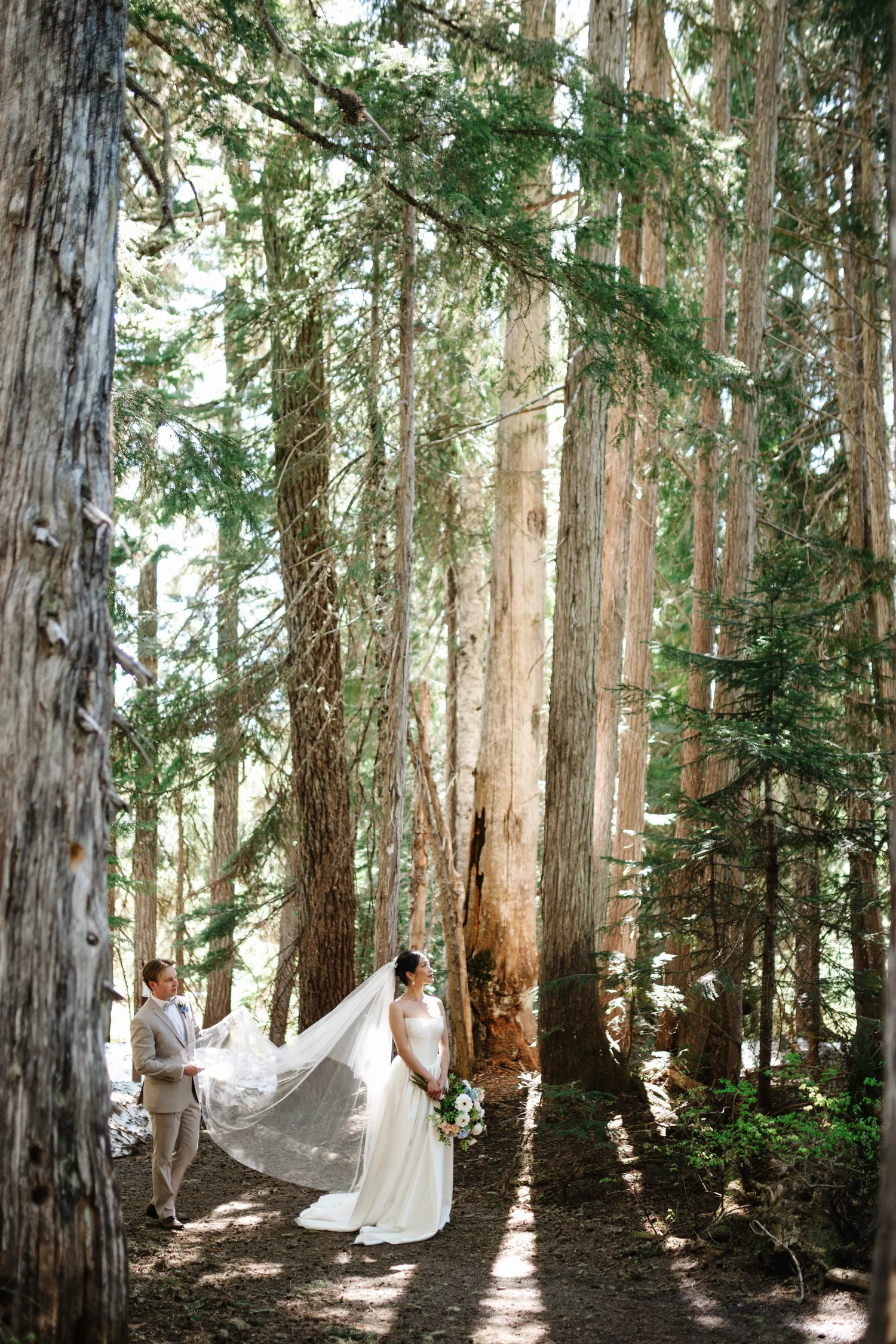 Tall trees on Mount Washington