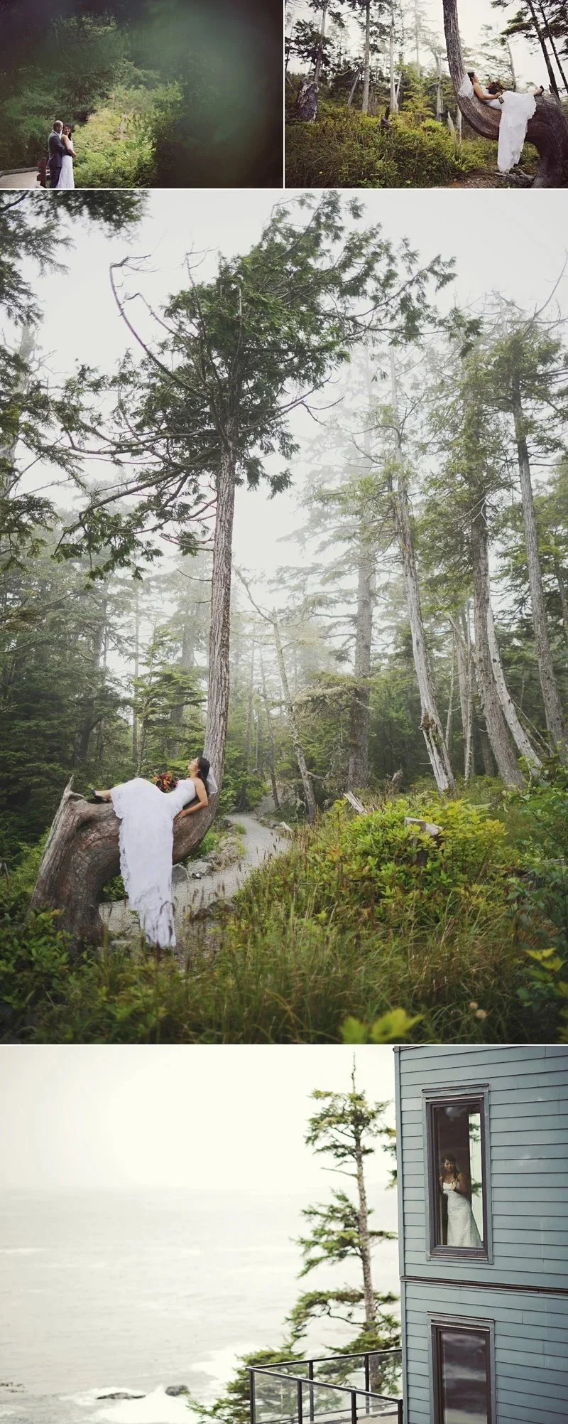vancouver island photography.jpg