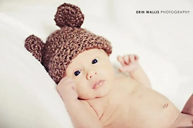 baby bear cute