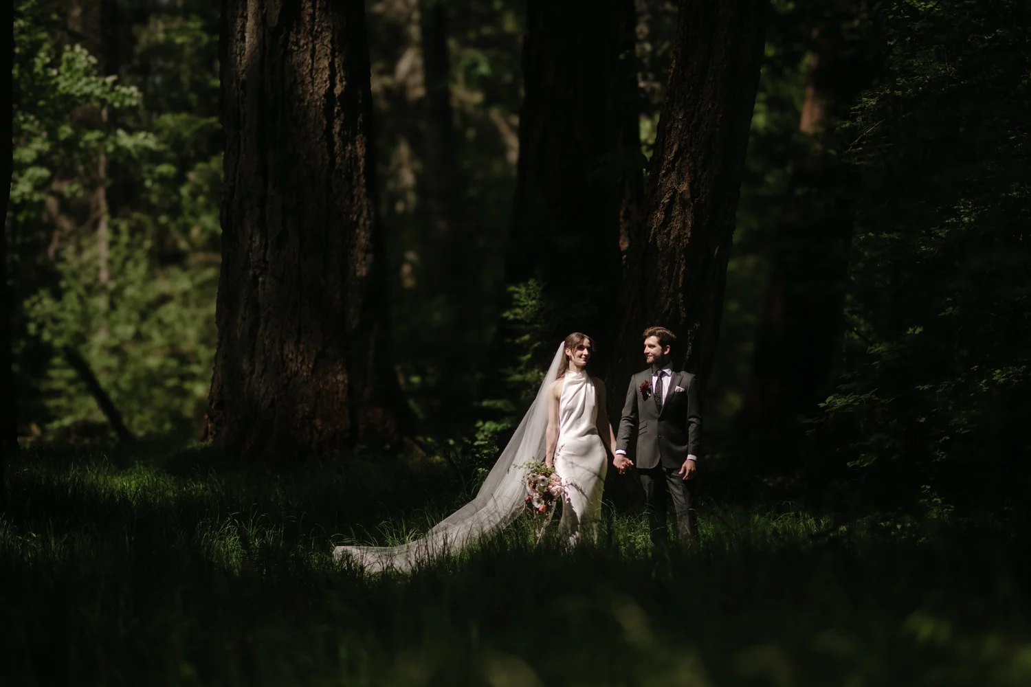 Dana’s veil in the forest light
