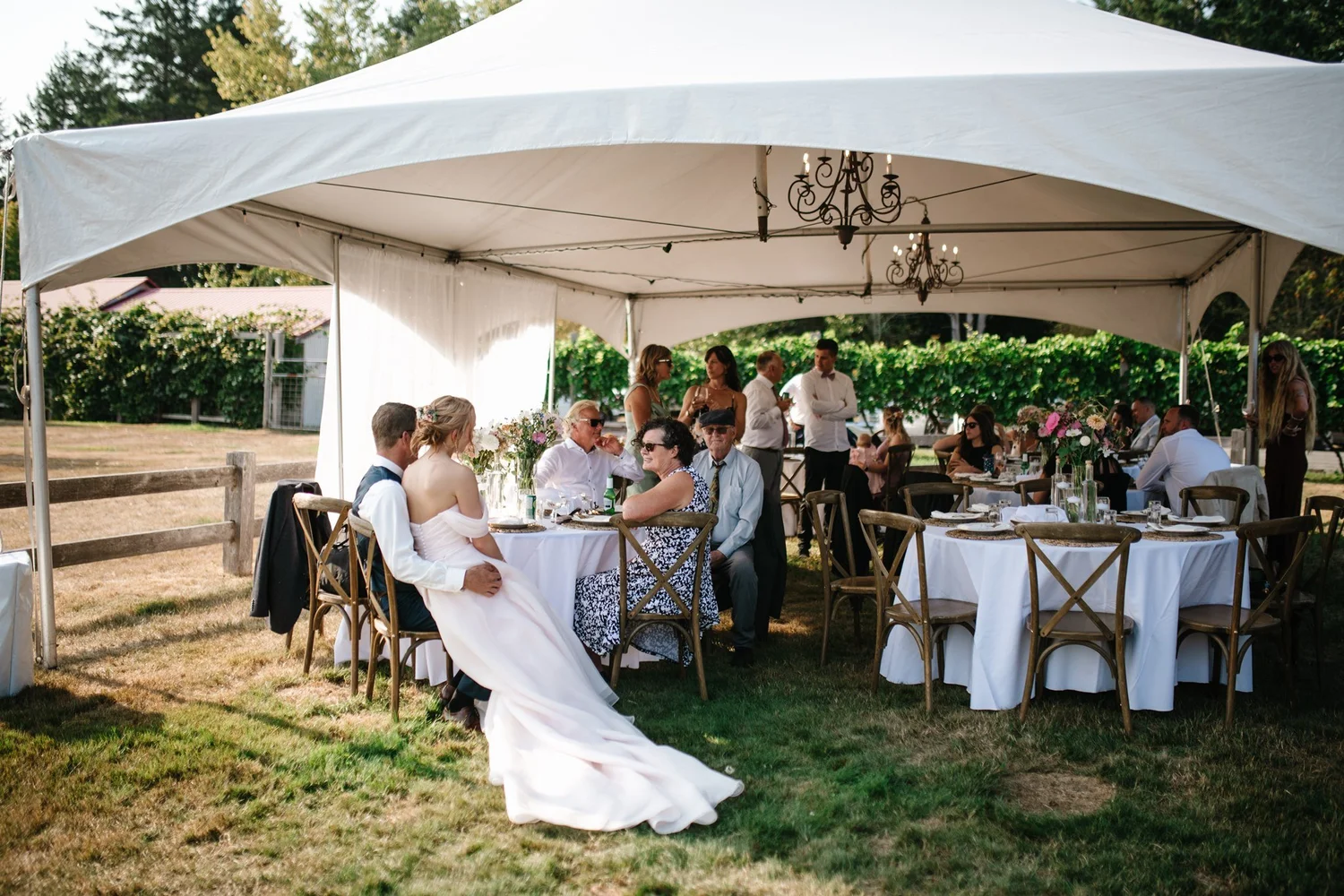 Dinner under the tent