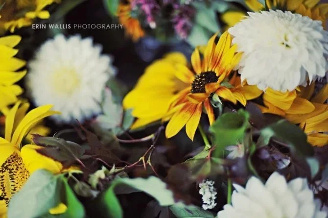 flowers