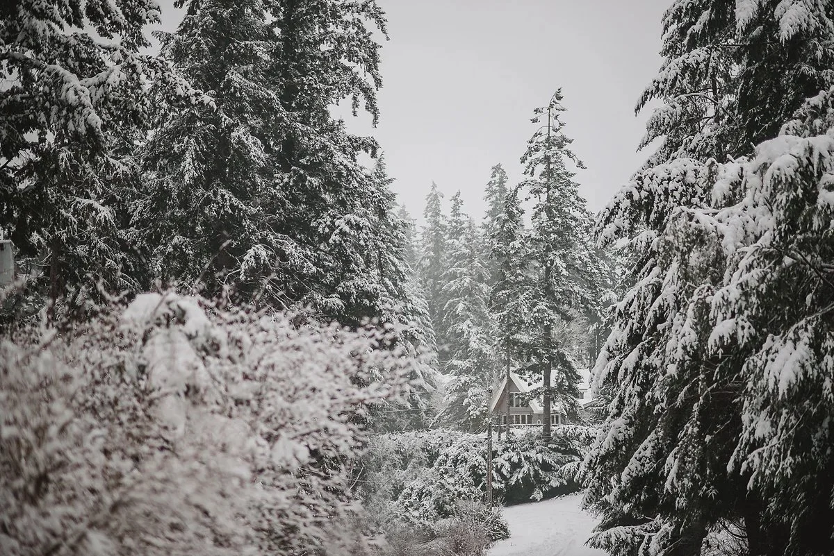 vancouver island snow house