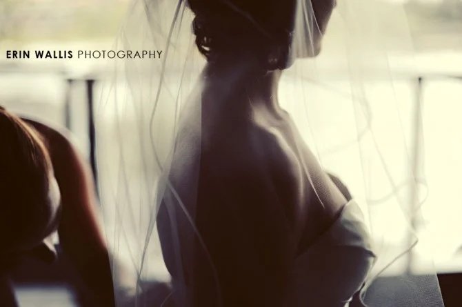 veil veil