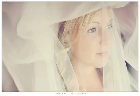 veil shot veil shot