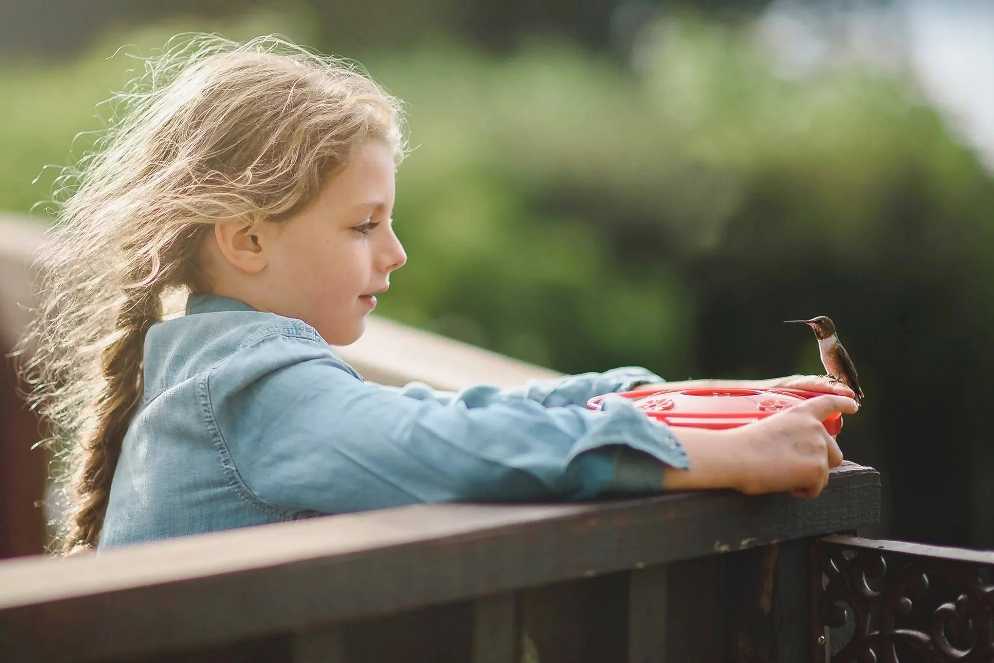 little girl holds hummingbird