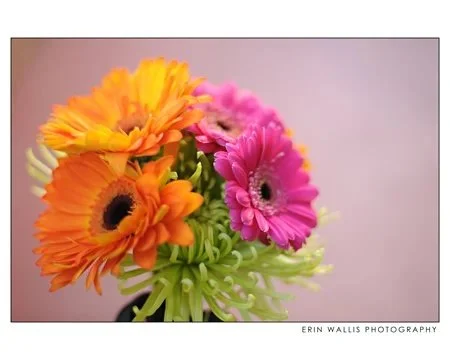 Bright Flowers Bright flowers