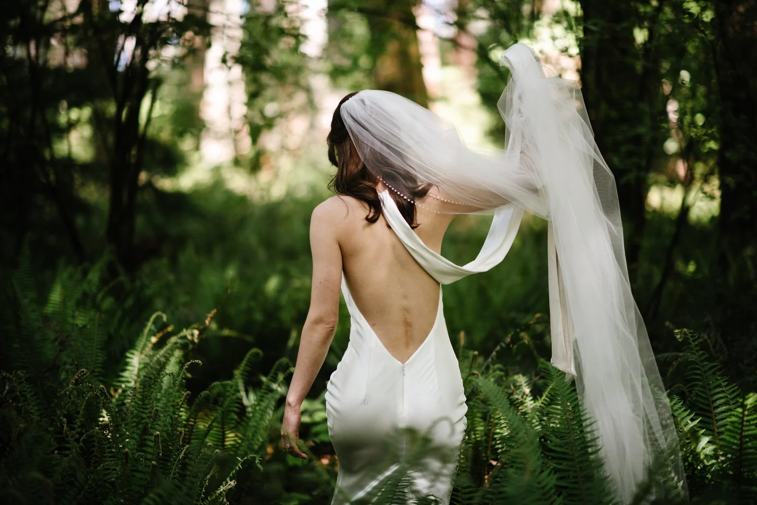 Dana walking through the ferns, her veil in the breeze