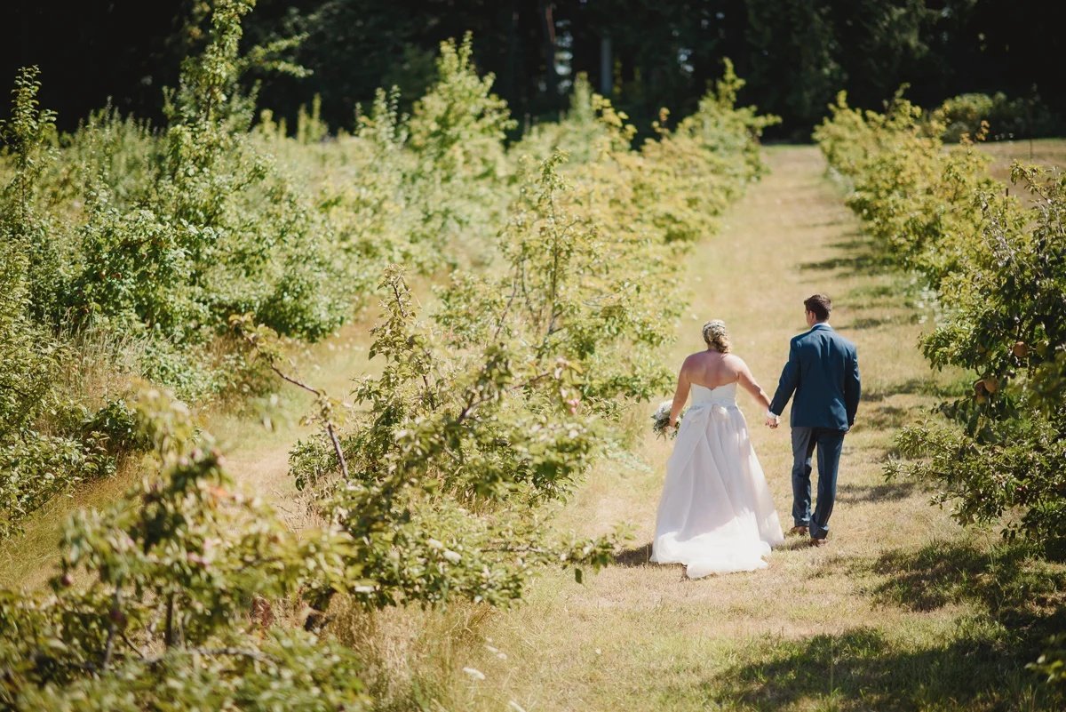 wedding in orchard