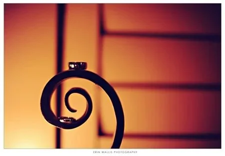 the rings the rings