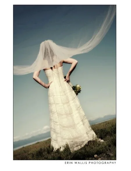 Nat veil