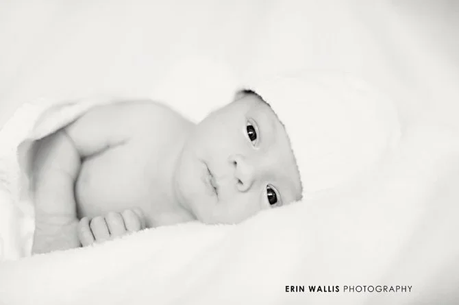 Baby Ladon Baby Ladon