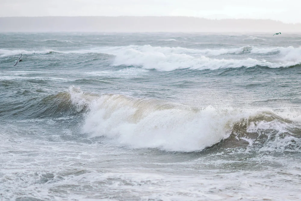 A storm wave breaking on the Vancouver Island coast