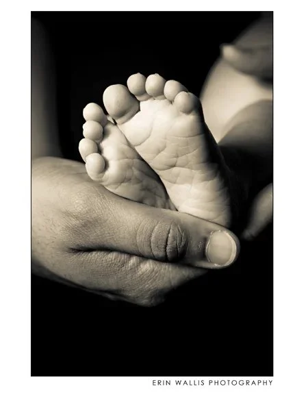 Noahs Toes