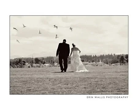 Birds in the sky