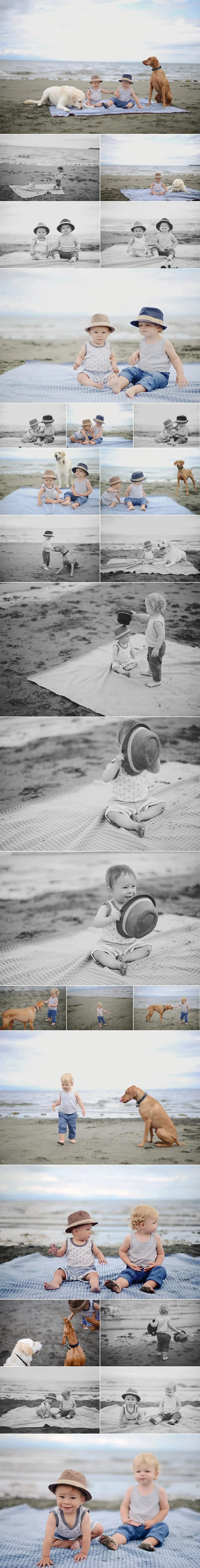 kids and dogs