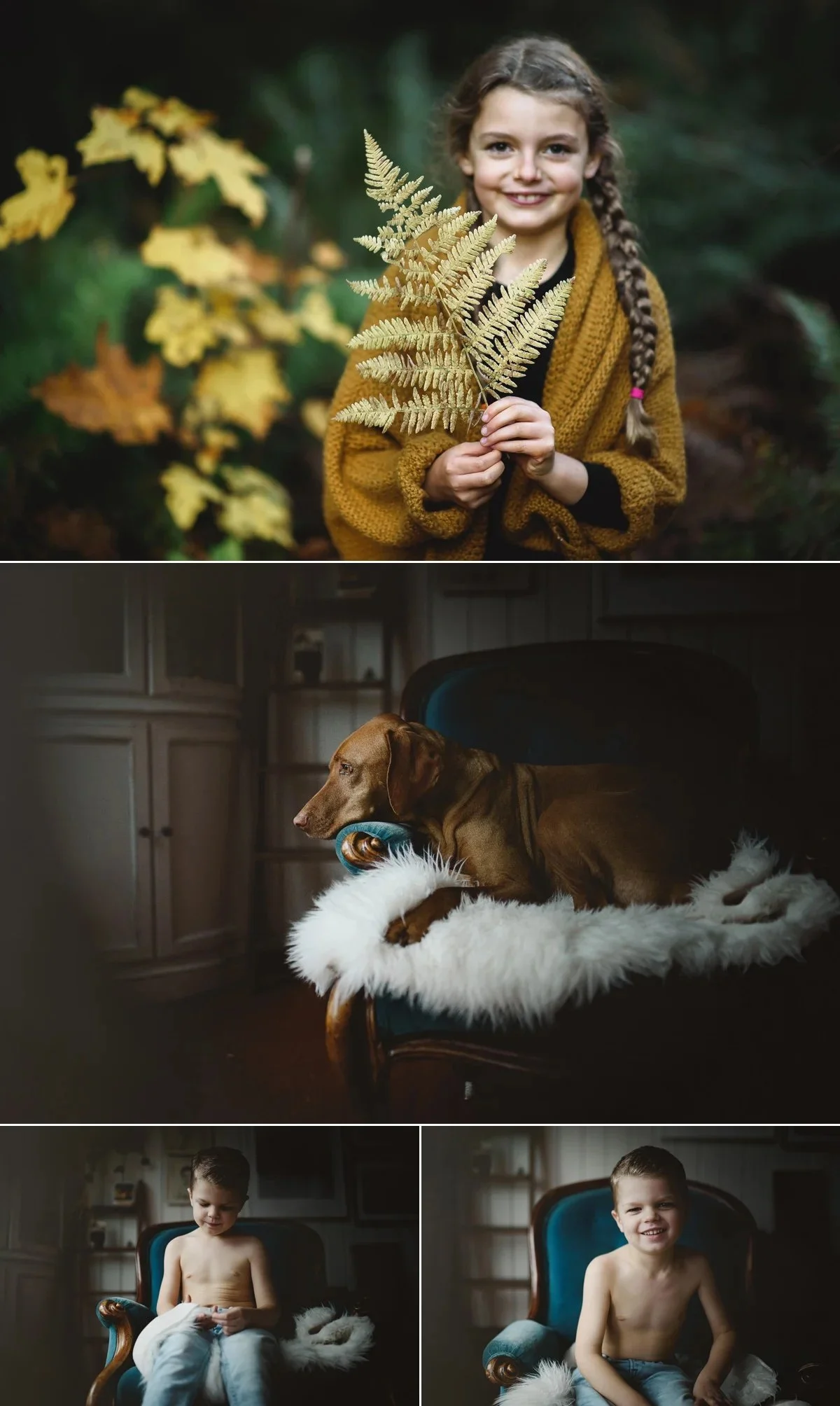 family photos fall
