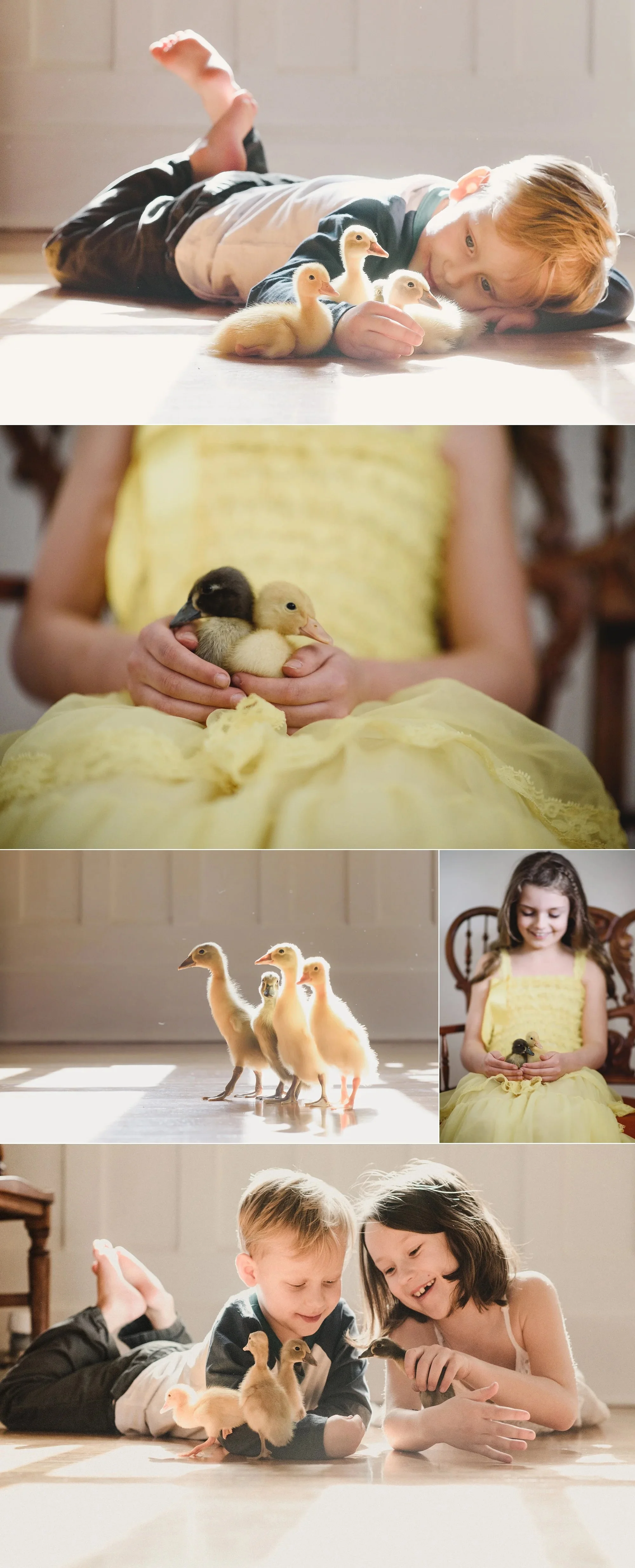 spring photos
