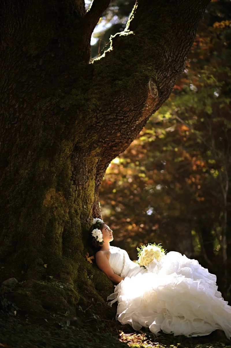 beautiful_bride