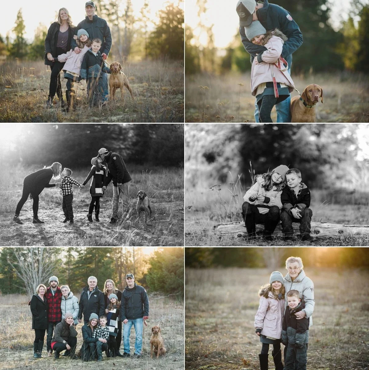 photographers family photos