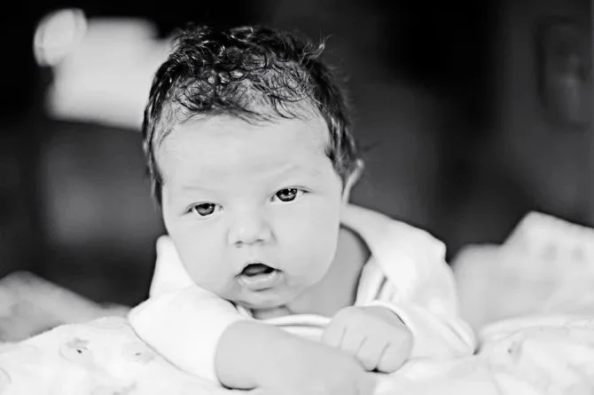 Maisie Lu Maisie Lu