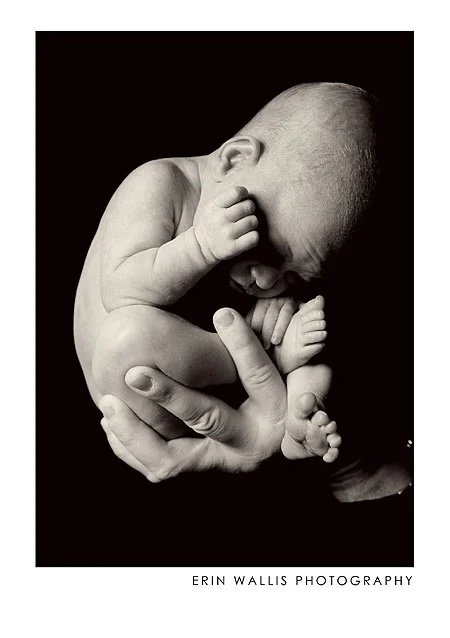 new born babies Studio black and white of newborn