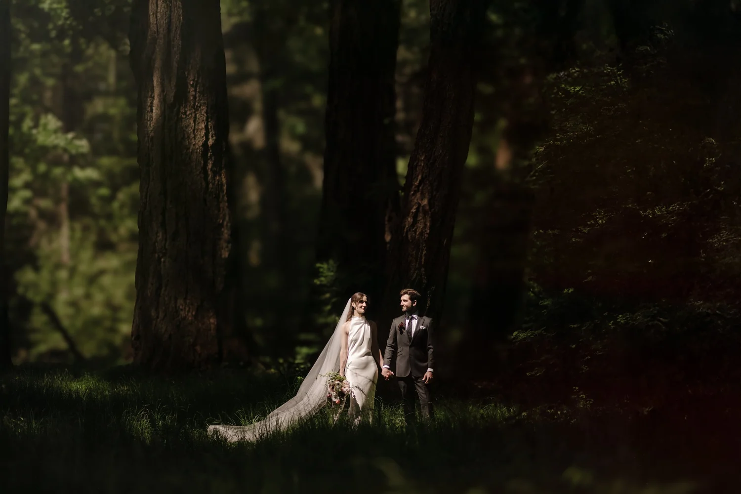 Dana and Cole small among the dark trees