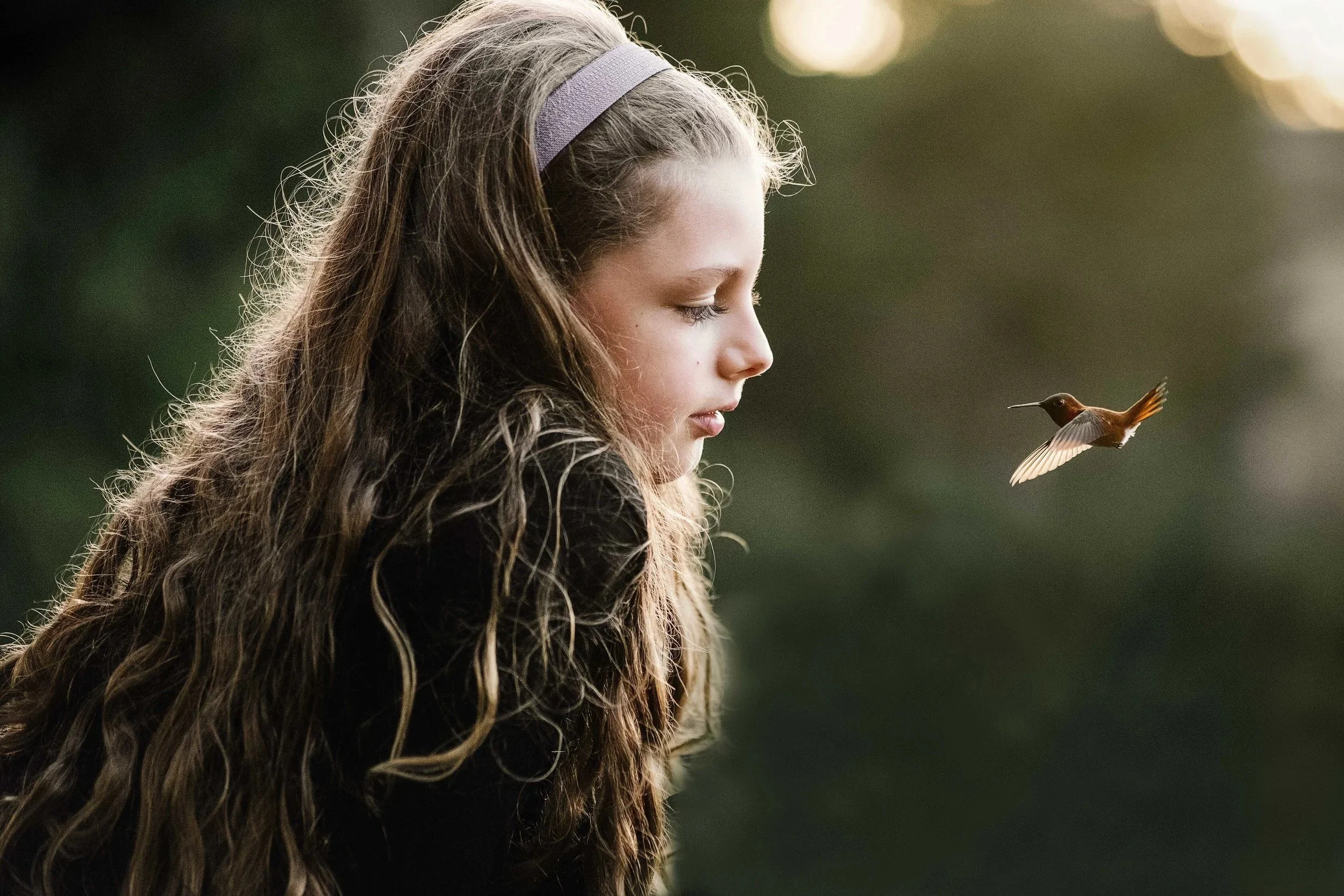 Hummingbird Magic