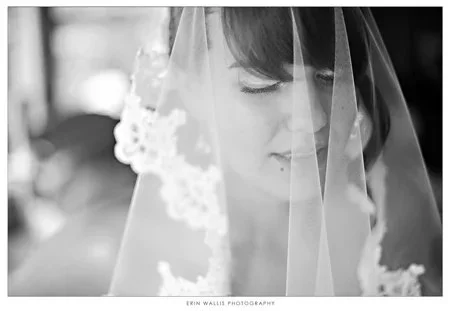veil veil