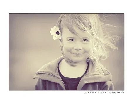 wind and flowers