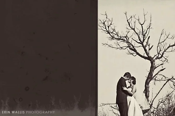 tree tree