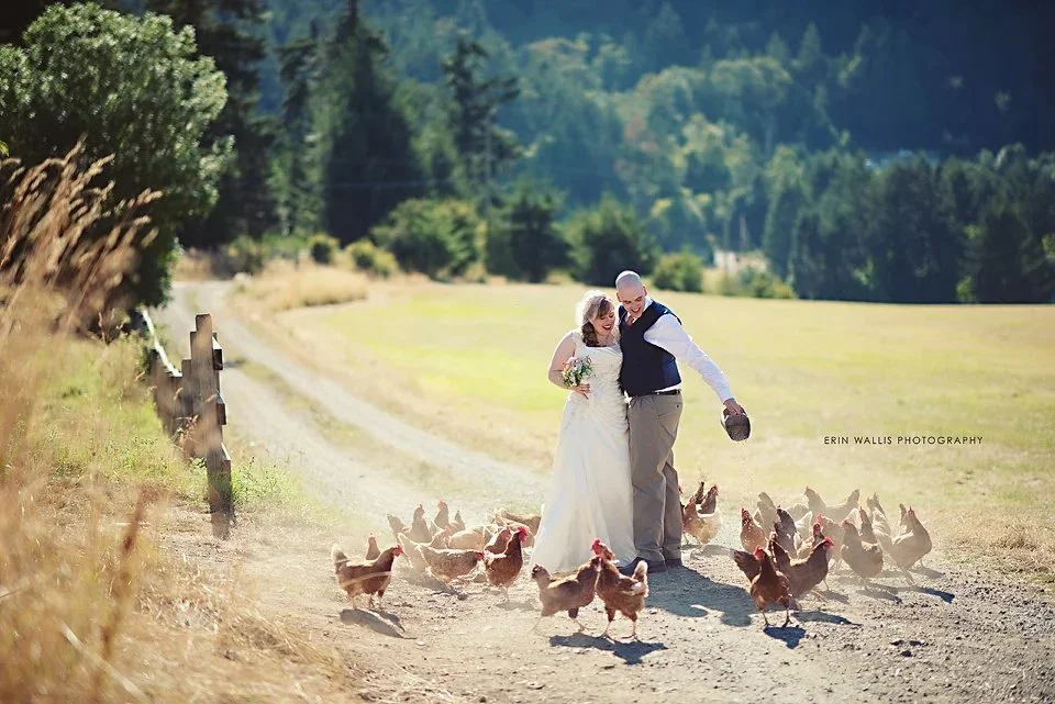 Birds eye cove farm wedding