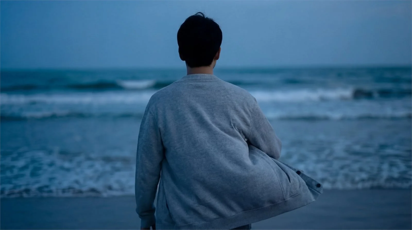 A figure seen from behind, facing a grey sea.
