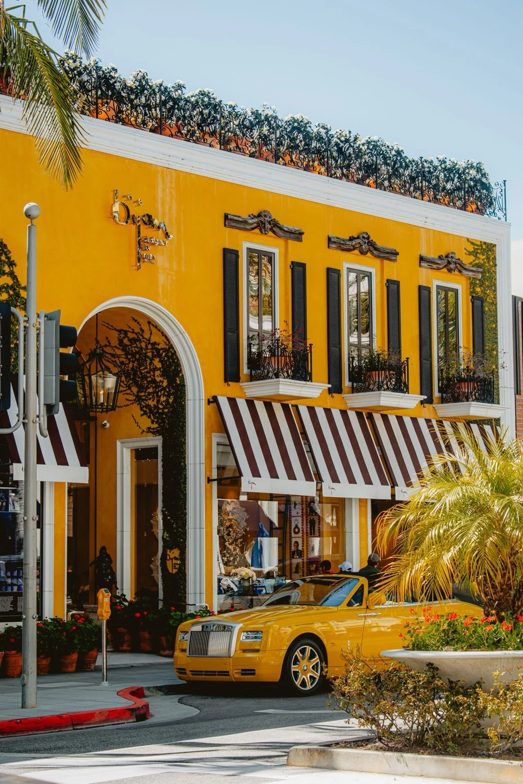 Palm Beach area streetscape — West Palm Beach community guide