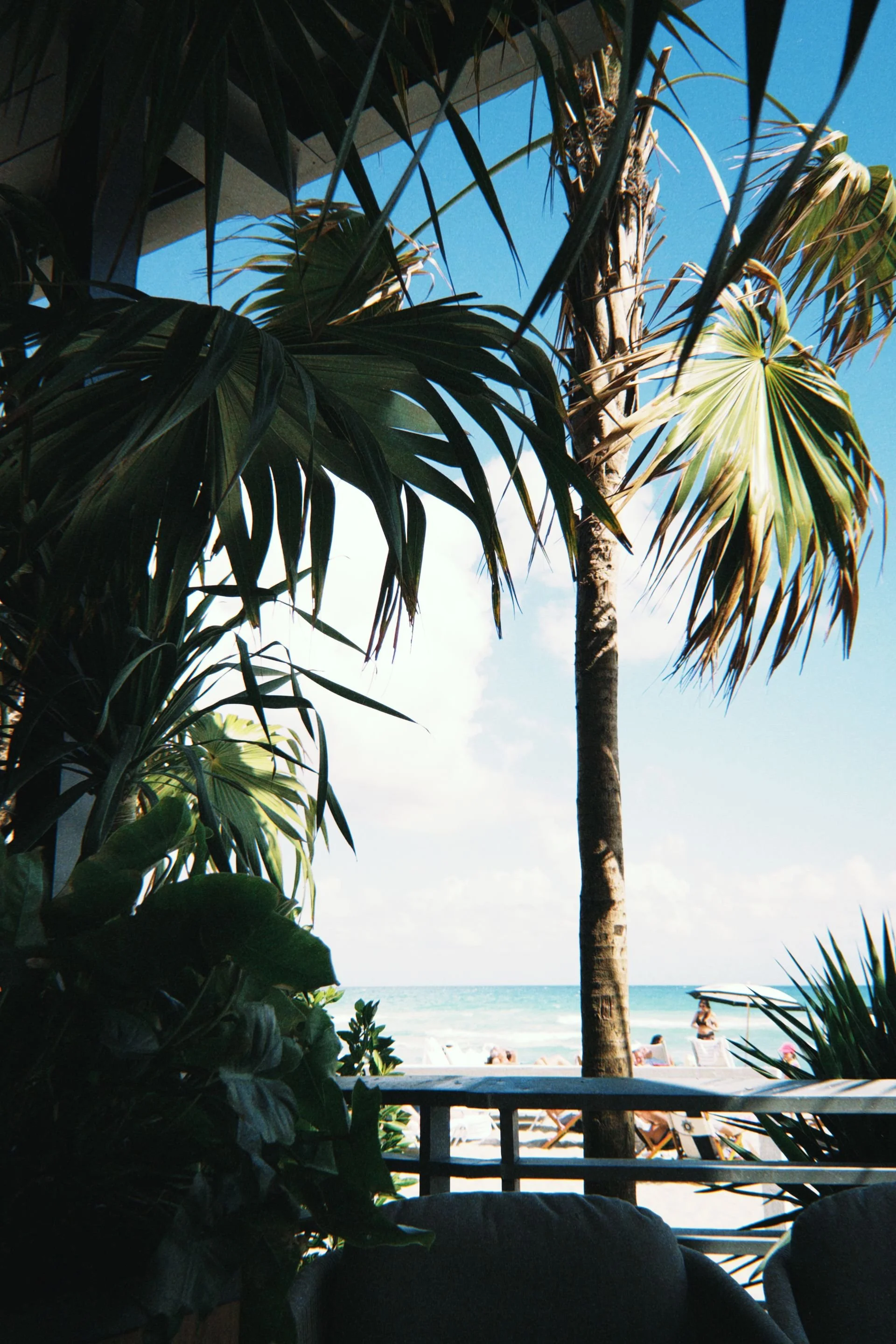 Palm-framed ocean view — Boca Raton community guide