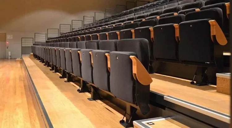 Rows of retractable theater seats