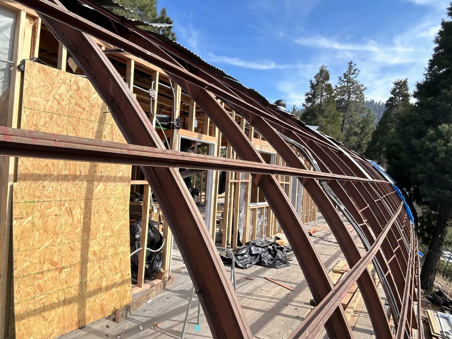 The original arched roof framing, exposed after the collapse