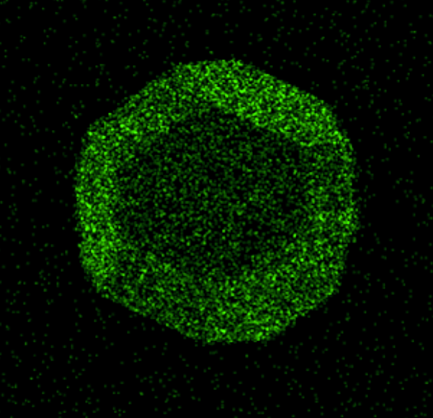 Left: SEM image of a synthetic diamond particle showing a continuous metal nano-coating over its whole surface.